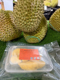 Golden Bun金包